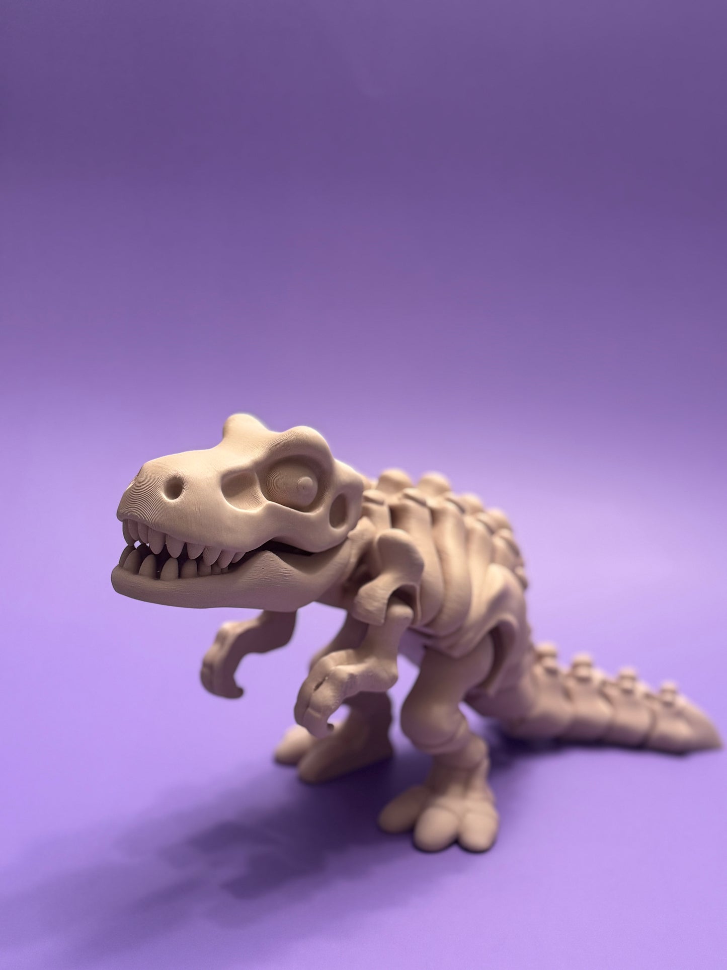 Skeleton T-Rex