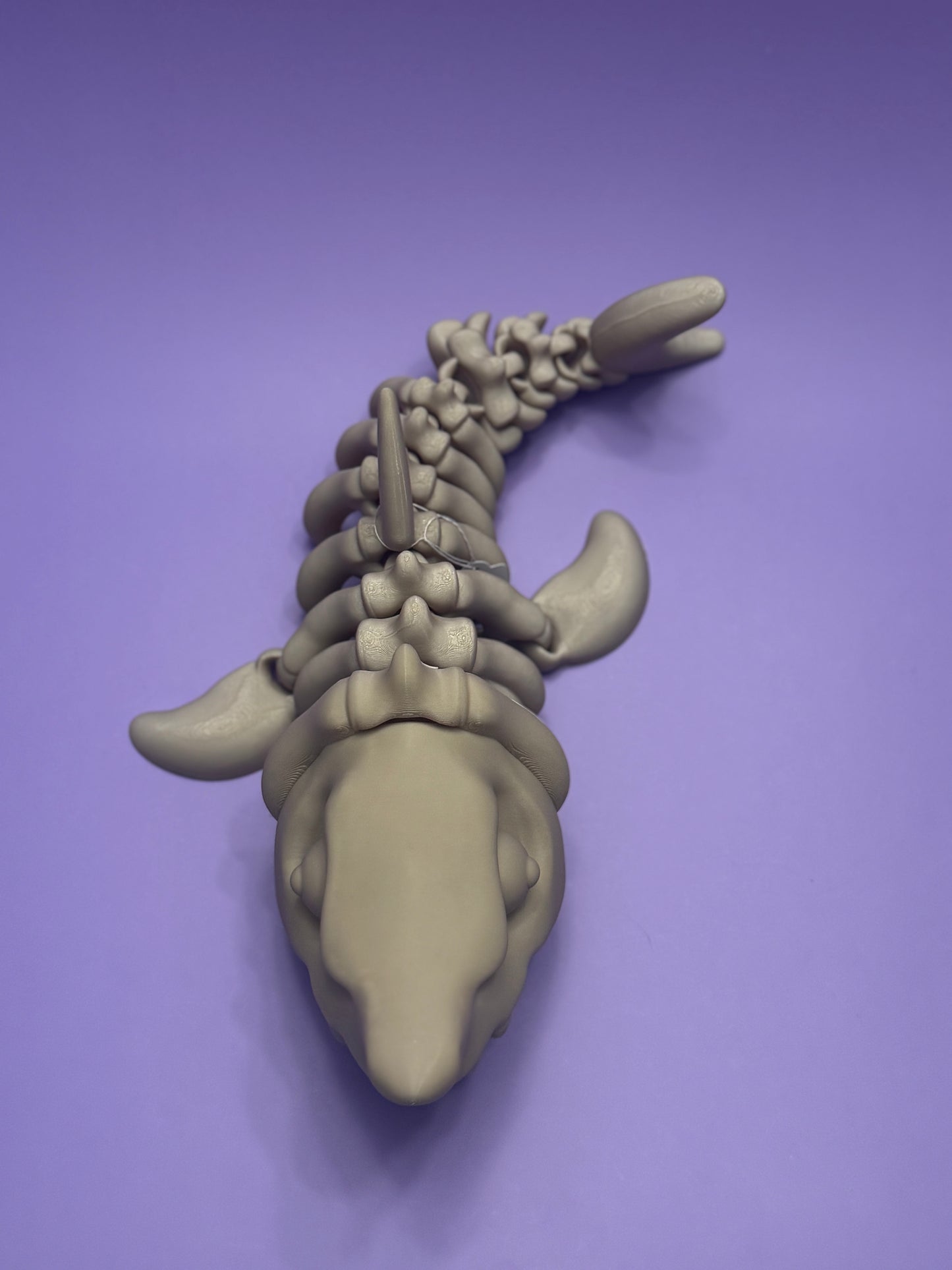 Skeleton Megalodon - Articulated Deep-Sea Collectible