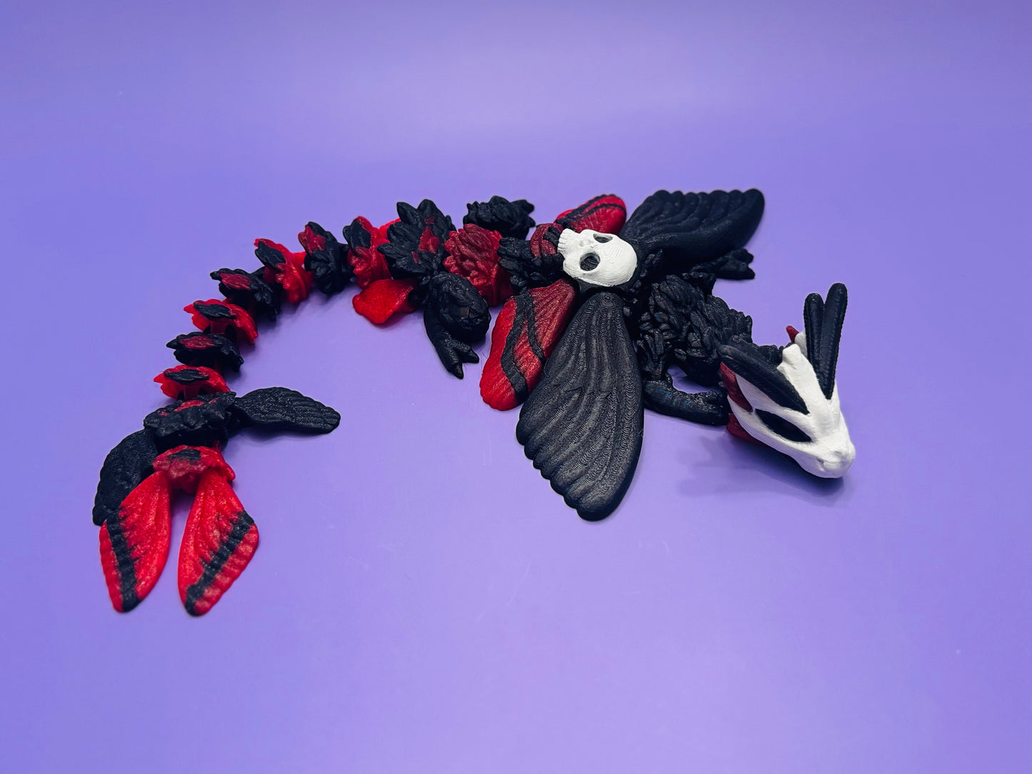 Skull-head Moth Dragon