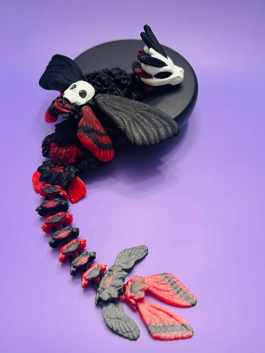 Skull-head Moth Dragon