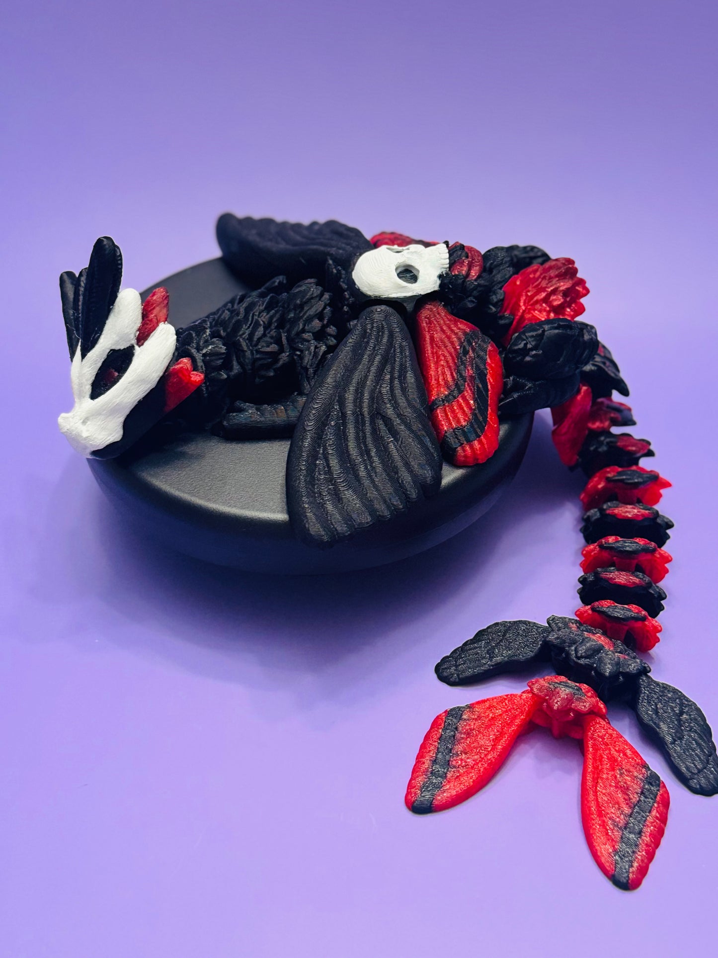 Skull-head Moth Dragon